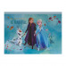 AS Drawing Set Disney Frozen Transparent Bag For Ages 3+