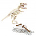 Science And Play Lab Educational Game Dinosaurs T-Rex For Ages 6+