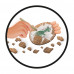 AS Digging Dino Egg For Ages 6+