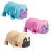 AS Stretchy Pug Dog For Ages 3+