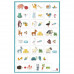 AS Magnet Box Animals 41 Educational Paper Magnets For Ages 3+