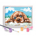 Paint & Frame Paint by Numbers Loving Puppy For Ages 9+