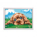 Paint & Frame Paint by Numbers Loving Puppy For Ages 9+