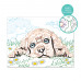 Paint & Frame Paint by Numbers Loving Puppy For Ages 9+