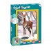 Paint & Frame Paint by Numbers Snow Deer For Ages 9+