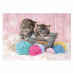 Clementoni Kids Puzzle Super Color Sweet Kittens 104 pcs