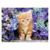 Clementoni Puzzle High Quality Collection Kitten With Blue Eyes 500 pcs