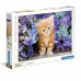 Clementoni Puzzle High Quality Collection Kitten With Blue Eyes 500 pcs