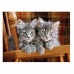 Clementoni Puzzle High Quality Collection Kittens 500 pcs