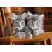 Clementoni Puzzle High Quality Collection Kittens 500 pcs