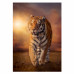 Clementoni Puzzle High Quality Collection Tiger 1500 pcs