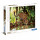 Clementoni Puzzle High Quality Collection Leopard 2000 pcs