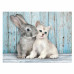 Clementoni Puzzle High Quality Collection Kitten & Bunny 500 pcs