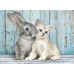 Clementoni Puzzle High Quality Collection Kitten & Bunny 500 pcs