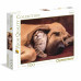 Clementoni Puzzle High Quality Collection Kitten In The Arms Of A Dog 500 pcs