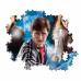 Clementoni Puzzle Harry Potter 500 pcs