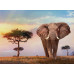 Clementoni Puzzle High Quality Collection Sunset In Africa 500 pcs