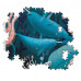 Clementoni Puzzle High Quality Collection Narwhal 500 pcs