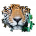 Clementoni Puzzle High Quality Collection Jaguar in the Jungle 500 pcs