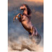 Clementoni Puzzle High Quality Collection Wild Horse 500 pcs