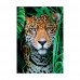 Clementoni Puzzle High Quality Collection Tiger In The Jungle 500 pcs - Compact Box