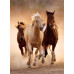 Clementoni Puzzle High Quality Collection Horses 1000 pcs