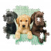 Clementoni Puzzle High Quality Collection Labrador Puppies 1000 pcs