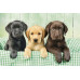 Clementoni Puzzle High Quality Collection Labrador Puppies 1000 pcs