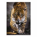 Clementoni Puzzle High Quality Collection Walk On The Jaguar 1000 pcs