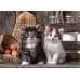 Clementoni Puzzle High Quality Collection Cute Kittens 1000 pcs