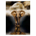 Clementoni Puzzle High Quality Collection The Elephant 1000 pcs