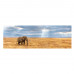 Clementoni Puzzle Panorama High Quality Collection Elephant 1000 pcs