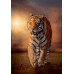 Clementoni Puzzle High Quality Collection Tiger 1000 pcs - Compact Box