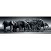 Clementoni Puzzle Panorama High Quality Collection Elephants 1000 pcs