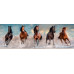 Clementoni Puzzle Panorama High Quality Collection Horses 1000 pcs - Compact Box