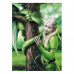 Clementoni Puzzle Anne Stokes Kindred Spirits 1000 pcs