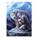 Clementoni Puzzle Anne Stokes Protector 1000 pcs