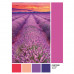 Clementoni Puzzle Pantone Vivid Viola 1000 pcs
