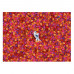 Clementoni Puzzle Impossible Disney Frozen II 1000 pcs