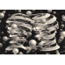 Clementoni Puzzle Novo Art Escher: Bond Of Union 1000 pcs